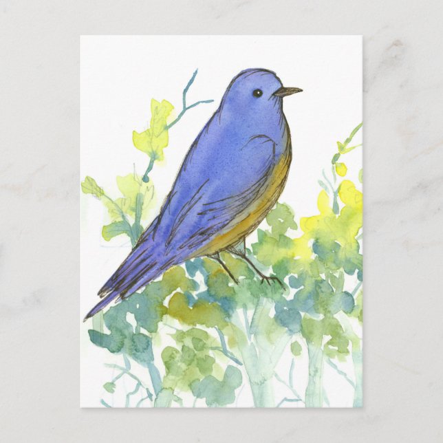 Carte Postale Aquarelle Bluebird Desert Sagebrush (Devant)