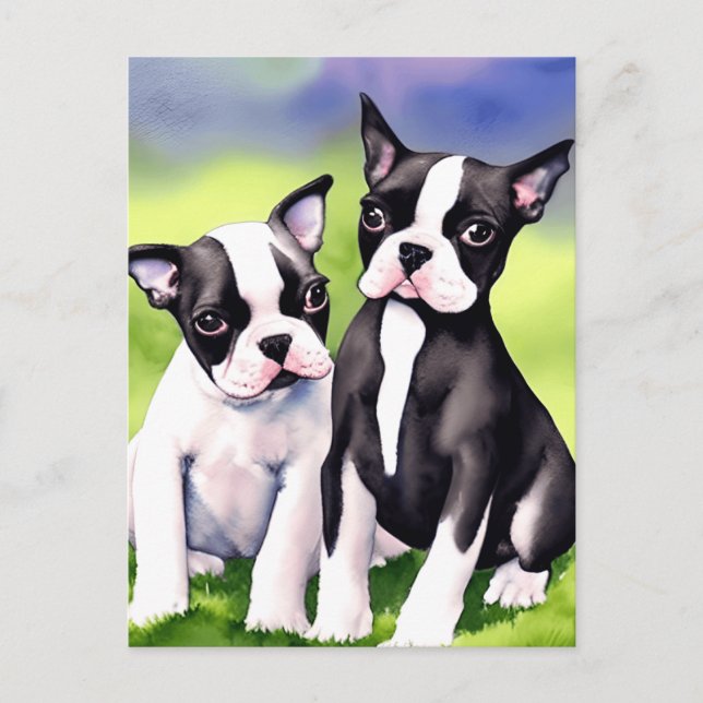 Carte Postale Aquarelle Boston Terrier Puppies (Devant)