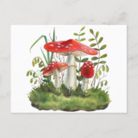 Aquarelle Champignons de la forêt sauvage rouge