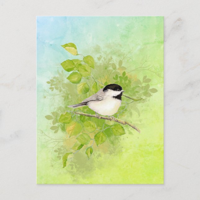 Carte Postale Aquarelle Chickadee Oiseau Faune Nature Art (Devant)