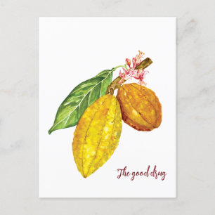 Carte Postale Aquarelle chocolat fruit