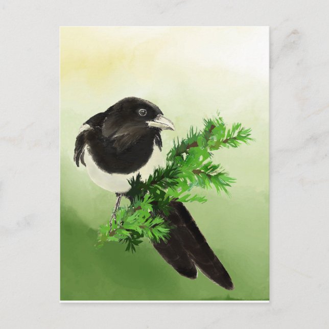Carte Postale Aquarelle Curieux Magpie Garden Oiseau Wildife Art (Devant)