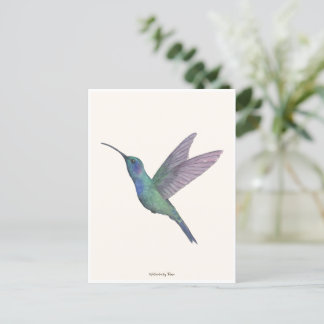 Carte Postale Aquarelle de colibri