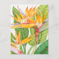 Aquarelle de fleurs exotiques