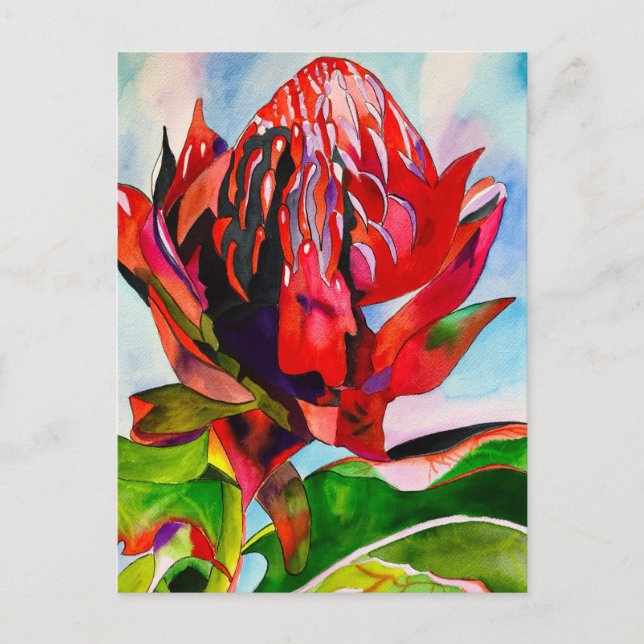 Carte Postale Aquarelle de fleurs indigènes de Waratah (Devant)
