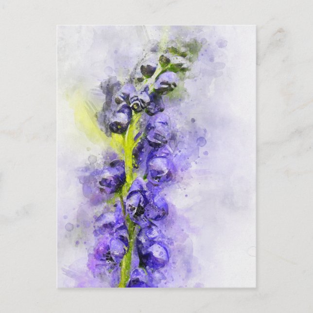 Carte Postale Aquarelle de la capuche du moine à fleurs (Devant)