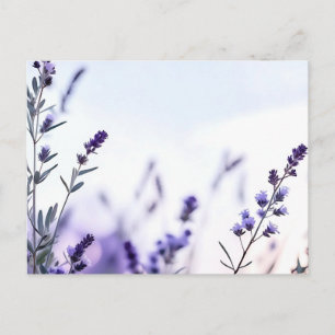 Carte Postale Aquarelle de lavande romantique