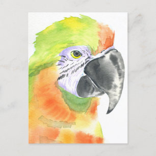 Carte Postale Aquarelle de perroquet