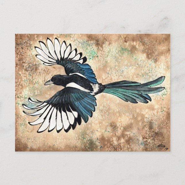 Carte Postale Aquarelle de pie (Devant)