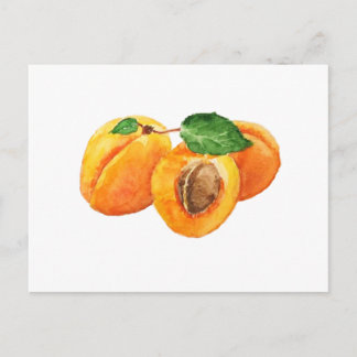 Carte Postale Aquarelle d'été
