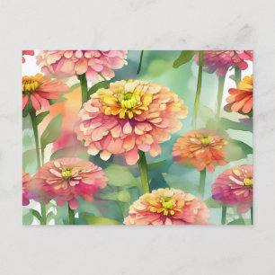 Carte Postale Aquarelle douce Zinnia Floral