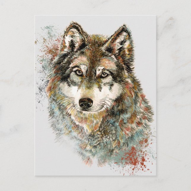 Carte Postale Aquarelle Gris Loup Faune Animal Nature Art (Devant)