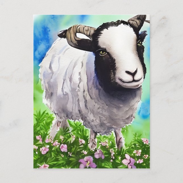 Carte Postale Aquarelle Jacob Sheep (Devant)