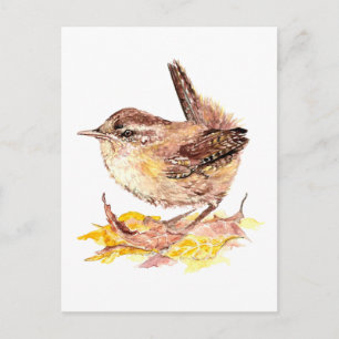 Carte Postale Aquarelle mignonne Oiseau, Nature, Faune