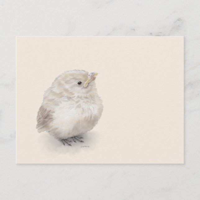 Carte Postale Aquarelle numérique Baby Sparrow (Devant)