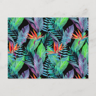 Carte Postale Aquarelle Oiseau Du Paradis 2