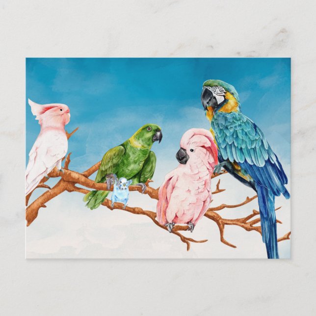 Carte Postale Aquarelle Oiseaux Perroquet Ara Cacatoès Perruche (Devant)