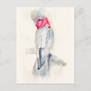 Carte Postale Aquarelle Opera Cockatoo