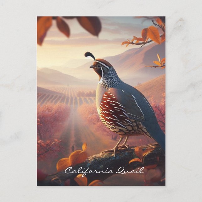 Carte Postale Aquarelle originale California Quail. Oiseau (Devant)