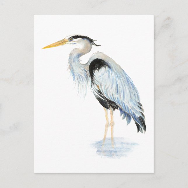 Carte Postale Aquarelle originale Great Blue Heron Bird (Devant)