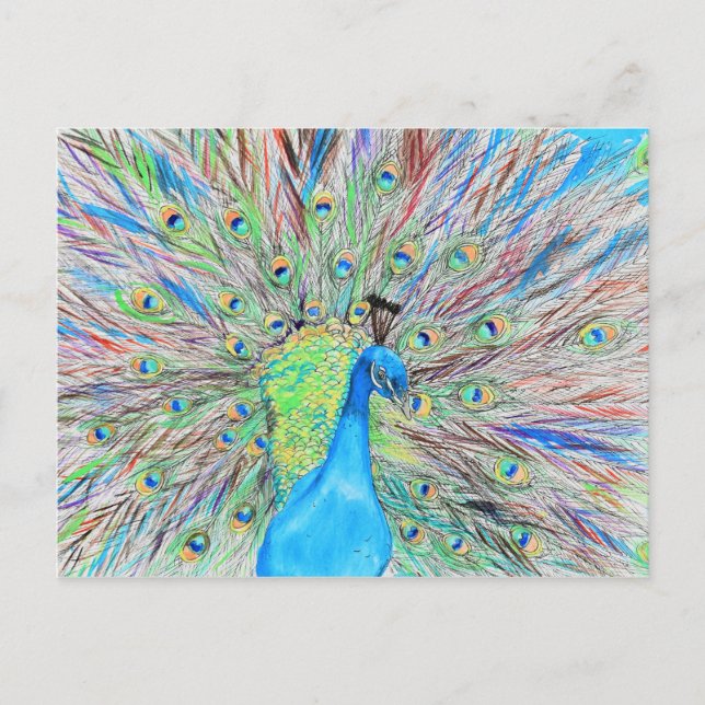 Carte Postale Aquarelle Peacock peinture (Devant)