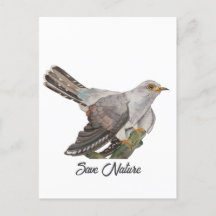 Aquarelle peignant un coucou