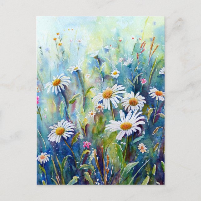 Carte Postale Aquarelle peinture de marguerite (Devant)