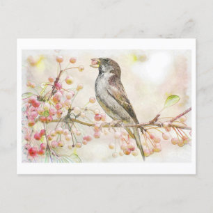 Carte Postale Aquarelle Peinture des Berries mangeant du Bruant