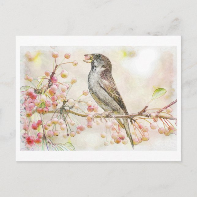 Carte Postale Aquarelle Peinture des Berries mangeant du Bruant (Devant)