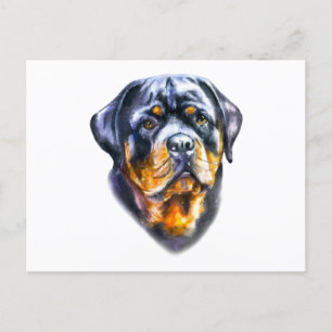 Carte Postale Aquarelle Rottweiler