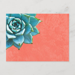 Carte Postale Aquarelle Succulente Dentelle orange