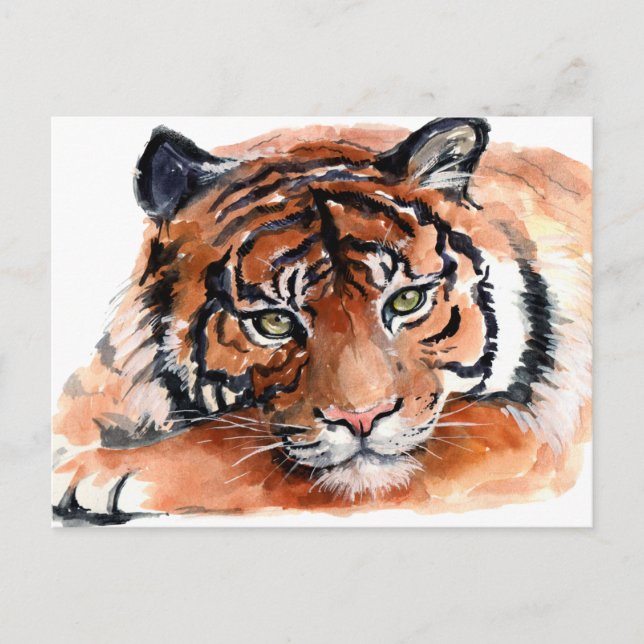 Carte Postale Aquarelle Tiger Cub (Devant)