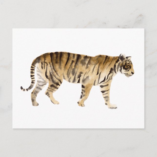 Carte Postale Aquarelle Tigre Marcher (Devant)