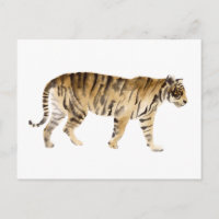 Aquarelle Tigre Marcher