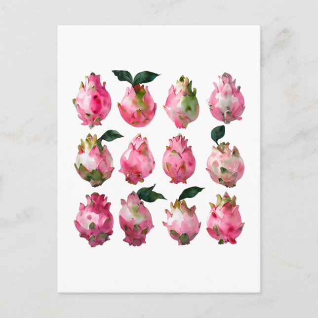 Carte Postale Aquarelle Tropicale Pitaya (Devant)