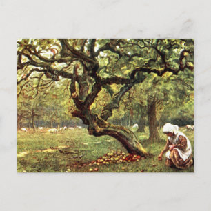 Carte Postale Aquarelle victorienne : Pommes de cueillette de fi