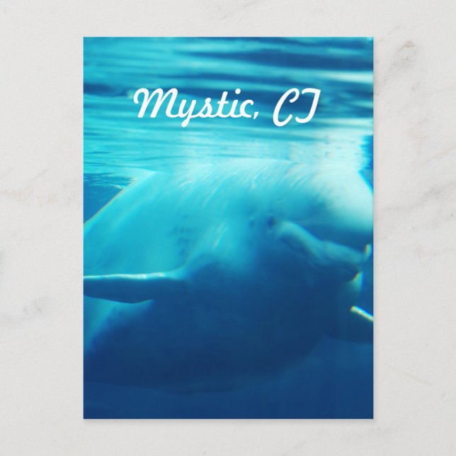 Carte Postale Aquarium (Devant)