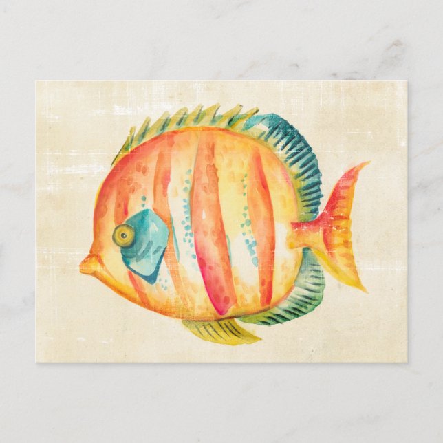 Carte Postale Aquarium coloré Poisson (Devant)
