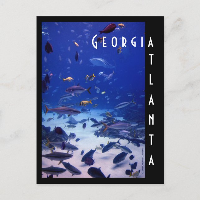 Carte Postale Aquarium d'Atlanta, la Géorgie (Devant)