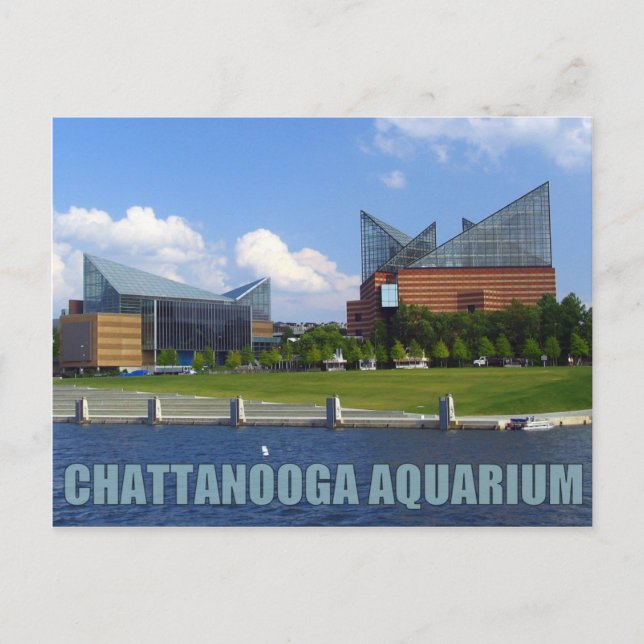 Carte Postale Aquarium de Chattanooga (Devant)