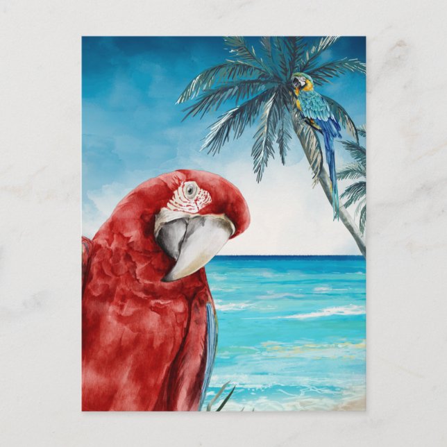 Carte Postale Ara Rouge Perruche Aquarelle Tropicale (Devant)