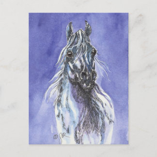 Carte postale Arabian Horse Art
