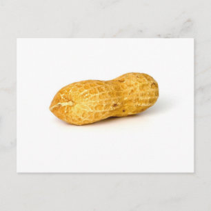 Carte Postale Arachide simple sur Arrière - plan blanc