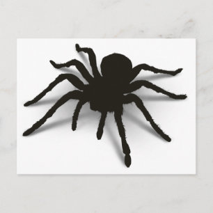Carte Postale Araignée 3D