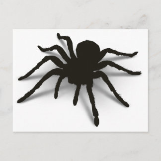 Carte Postale Araignée 3D