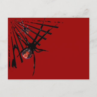 Carte Postale Araignée de Redback