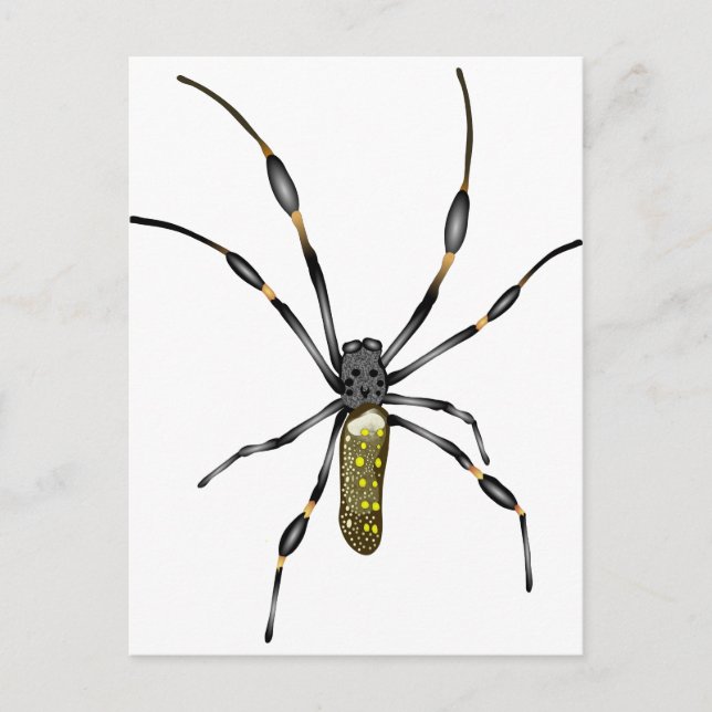 Carte Postale Araignée d'or (Devant)