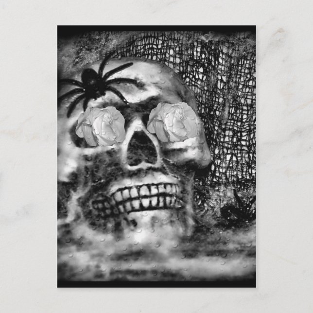 Carte Postale Araignée du crâne et Rose-2012 (Devant)