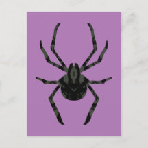 Araignée ordinaire