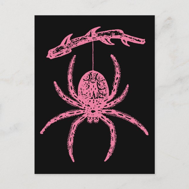Carte Postale Araignée rose mignonne (Devant)